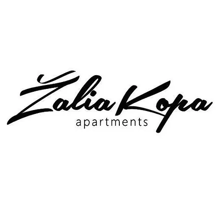 Zalia Kopa Kotedzas Su Kiemeliu 200 M Iki Juros *