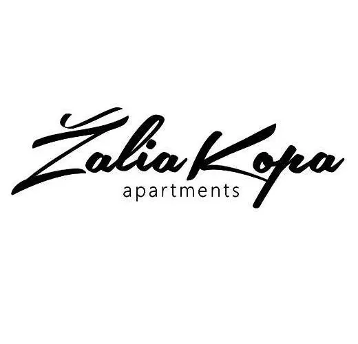 Zalia Kopa Apartamentai Salia Juros *